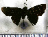  ( - JFDA3439)  @11 [ ] by-nc-sa (2025) Jean F. Le Crom Jean F. Le Crom