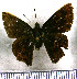  ( - JFDA3444)  @11 [ ] by-nc-sa (2025) Jean F. Le Crom Jean F. Le Crom