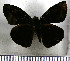  ( - JFDA3615)  @11 [ ] by-nc-sa (2025) Jean F. Le Crom Jean F. Le Crom