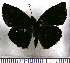  ( - JFDA3616)  @11 [ ] by-nc-sa (2025) Jean F. Le Crom Jean F. Le Crom