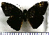  ( - JFDA3617)  @11 [ ] by-nc-sa (2025) Jean F. Le Crom Jean F. Le Crom