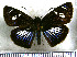  ( - JFDA3710)  @11 [ ] by-nc-sa (2025) Jean F. Le Crom Jean F. Le Crom