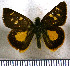  (Dalla hilina - JFDA3796)  @11 [ ] by-nc-sa (2025) Jean F. Le Crom Jean F. Le Crom