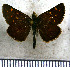  ( - JFDA3830)  @11 [ ] by-nc-sa (2025) Jean F. Le Crom Jean F. Le Crom