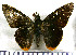  ( - JFDA3836)  @11 [ ] by-nc-sa (2025) Jean F. Le Crom Jean F. Le Crom