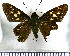  (Aides duma - JFDA3959)  @11 [ ] by-nc-sa (2025) Jean F. Le Crom Jean F. Le Crom