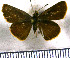  (Mnaseas - JFDA3982)  @11 [ ] by-nc-sa (2025) Jean F. Le Crom Jean F. Le Crom