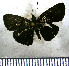  ( - JFDA4020)  @11 [ ] by-nc-sa (2025) Jean F. Le Crom Jean F. Le Crom