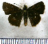  ( - JFDA4025)  @11 [ ] by-nc-sa (2025) Jean F. Le Crom Jean F. Le Crom