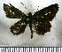  ( - JFDA4042)  @11 [ ] by-nc-sa (2025) Jean F. Le Crom Jean F. Le Crom