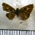  ( - JFDA4051)  @11 [ ] by-nc-sa (2025) Jean F. Le Crom Jean F. Le Crom