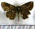  ( - JFDA4059)  @11 [ ] by-nc-sa (2025) Jean F. Le Crom Jean F. Le Crom