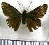  ( - JFDA4074)  @11 [ ] by-nc-sa (2025) Jean F. Le Crom Jean F. Le Crom