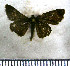  ( - JFDA4075)  @11 [ ] by-nc-sa (2025) Jean F. Le Crom Jean F. Le Crom