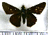  ( - JFDA4159)  @11 [ ] by-nc-sa (2025) Jean F. Le Crom Jean F. Le Crom