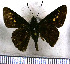  ( - JFDA4162)  @11 [ ] by-nc-sa (2025) Jean F. Le Crom Jean F. Le Crom