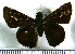  ( - JFDA4298)  @11 [ ] by-nc-sa (2025) Jean F. Le Crom Jean F. Le Crom