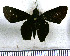  ( - JFDA4314)  @11 [ ] by-nc-sa (2025) Jean F. Le Crom Jean F. Le Crom