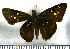  (Tricrista canta - JFDA4358)  @11 [ ] by-nc-sa (2025) Jean F. Le Crom Jean F. Le Crom