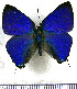  ( - JFDA4508)  @11 [ ] by-nc-sa (2025) Jean F. Le Crom Jean F. Le Crom