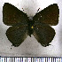  ( - JFDA4514)  @11 [ ] by-nc-sa (2025) Jean F. Le Crom Jean F. Le Crom