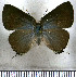  ( - JFDA4515)  @11 [ ] by-nc-sa (2025) Jean F. Le Crom Jean F. Le Crom