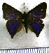  ( - JFDA4663)  @11 [ ] by-nc-sa (2025) Jean F. Le Crom Jean F. Le Crom