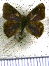  ( - JFDA4664)  @11 [ ] by-nc-sa (2025) Jean F. Le Crom Jean F. Le Crom