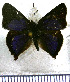  ( - JFDA4666)  @11 [ ] by-nc-sa (2025) Jean F. Le Crom Jean F. Le Crom