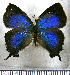  ( - JFDA4700)  @11 [ ] by-nc-sa (2025) Jean F. Le Crom Jean F. Le Crom