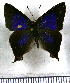  ( - JFDA4714)  @11 [ ] by-nc-sa (2025) Jean F. Le Crom Jean F. Le Crom