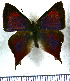  ( - JFDA4715)  @11 [ ] by-nc-sa (2025) Jean F. Le Crom Jean F. Le Crom