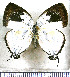  ( - JFDA4774)  @11 [ ] by-nc-sa (2025) Jean F. Le Crom Jean F. Le Crom