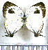  ( - JFDA4776)  @11 [ ] by-nc-sa (2025) Jean F. Le Crom Jean F. Le Crom
