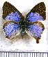  ( - JFDA4779)  @11 [ ] by-nc-sa (2025) Jean F. Le Crom Jean F. Le Crom