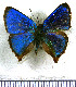  ( - JFDA4865)  @11 [ ] by-nc-sa (2025) Jean F. Le Crom Jean F. Le Crom