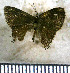 ( - JFDA4909)  @11 [ ] by-nc-sa (2025) Jean F. Le Crom Jean F. Le Crom