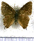  ( - JFDA4918)  @11 [ ] by-nc-sa (2025) Jean F. Le Crom Jean F. Le Crom