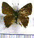  ( - JFDA4973)  @11 [ ] by-nc-sa (2025) Jean F. Le Crom Jean F. Le Crom