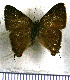  ( - JFDA4974)  @11 [ ] by-nc-sa (2025) Jean F. Le Crom Jean F. Le Crom