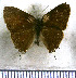  ( - JFDA4975)  @11 [ ] by-nc-sa (2025) Jean F. Le Crom Jean F. Le Crom