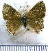  ( - JFDA4976)  @11 [ ] by-nc-sa (2025) Jean F. Le Crom Jean F. Le Crom