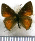  ( - JFDA4979)  @11 [ ] by-nc-sa (2025) Jean F. Le Crom Jean F. Le Crom