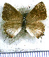  ( - JFDA4983)  @11 [ ] by-nc-sa (2025) Jean F. Le Crom Jean F. Le Crom