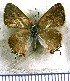  ( - JFDA4984)  @11 [ ] by-nc-sa (2025) Jean F. Le Crom Jean F. Le Crom