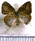  ( - JFDA5004)  @11 [ ] by-nc-sa (2025) Jean F. Le Crom Jean F. Le Crom