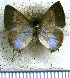  ( - JFDA5005)  @11 [ ] by-nc-sa (2025) Jean F. Le Crom Jean F. Le Crom