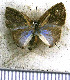  ( - JFDA5006)  @11 [ ] by-nc-sa (2025) Jean F. Le Crom Jean F. Le Crom