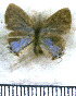 ( - JFDA5031)  @11 [ ] by-nc-sa (2025) Jean F. Le Crom Jean F. Le Crom