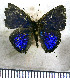  ( - JFDA5043)  @11 [ ] by-nc-sa (2025) Jean F. Le Crom Jean F. Le Crom